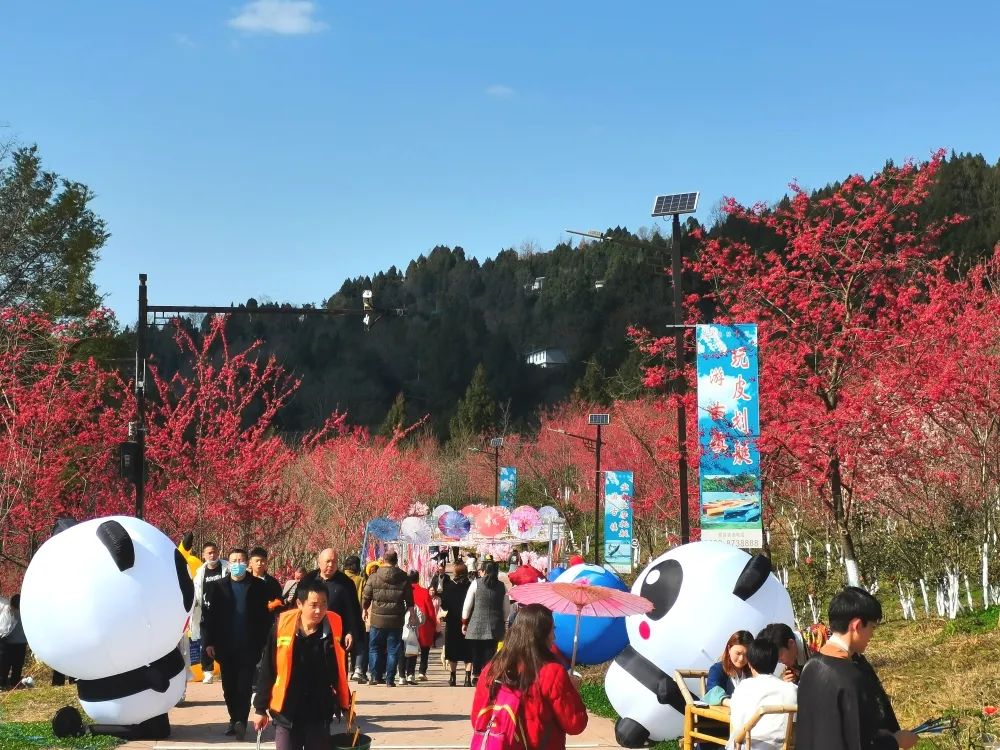 「创建天府旅游名县」女神节这份《昭化春天使用说明书》请收好