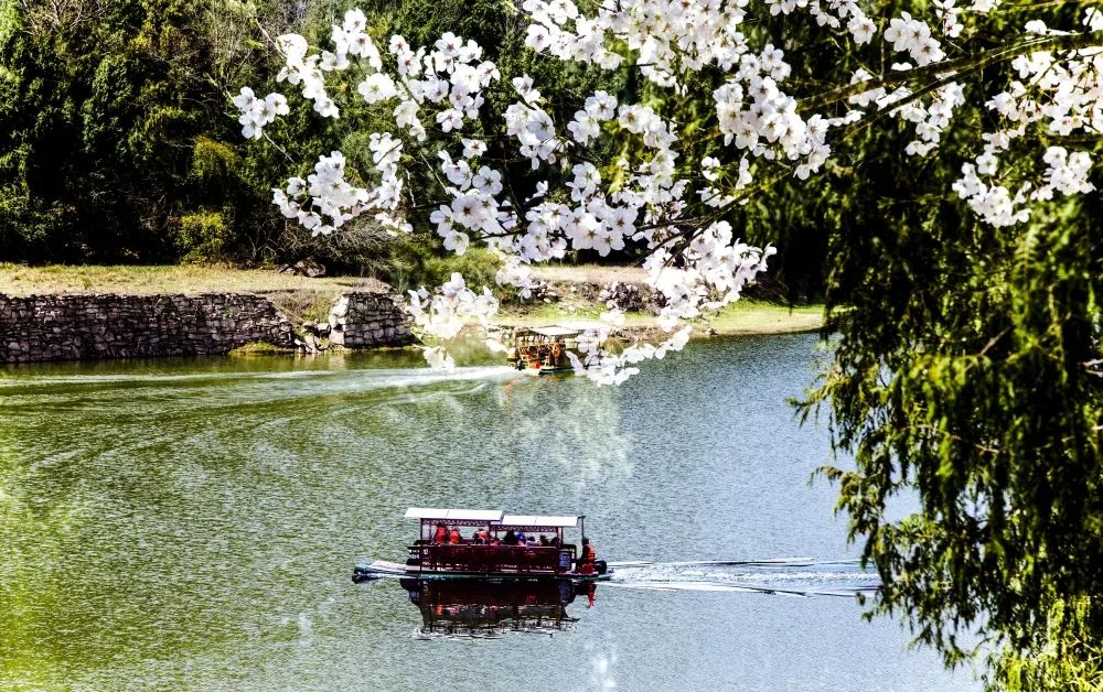 「创建天府旅游名县」女神节这份《昭化春天使用说明书》请收好