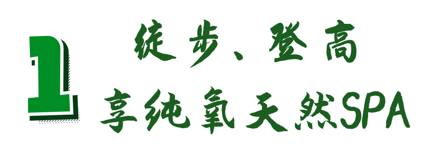 安逸四川 清凉广元 | 高温退！快来，广元有一个AAAAA级避暑胜地